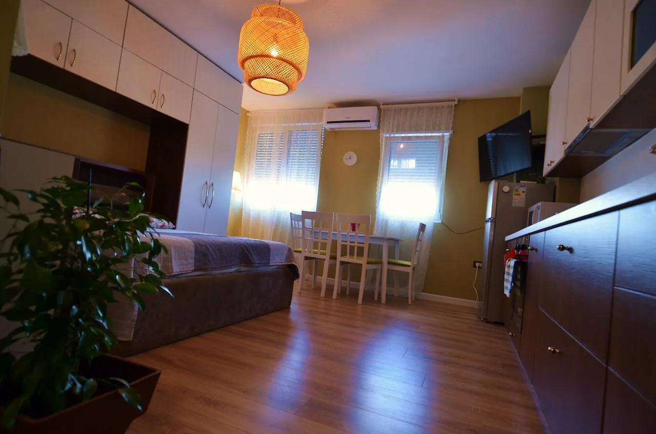 Apartment Studio Silva 2 Tirana